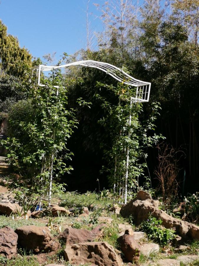 Lucolo Palace B&B Aliwal North Bagian luar foto